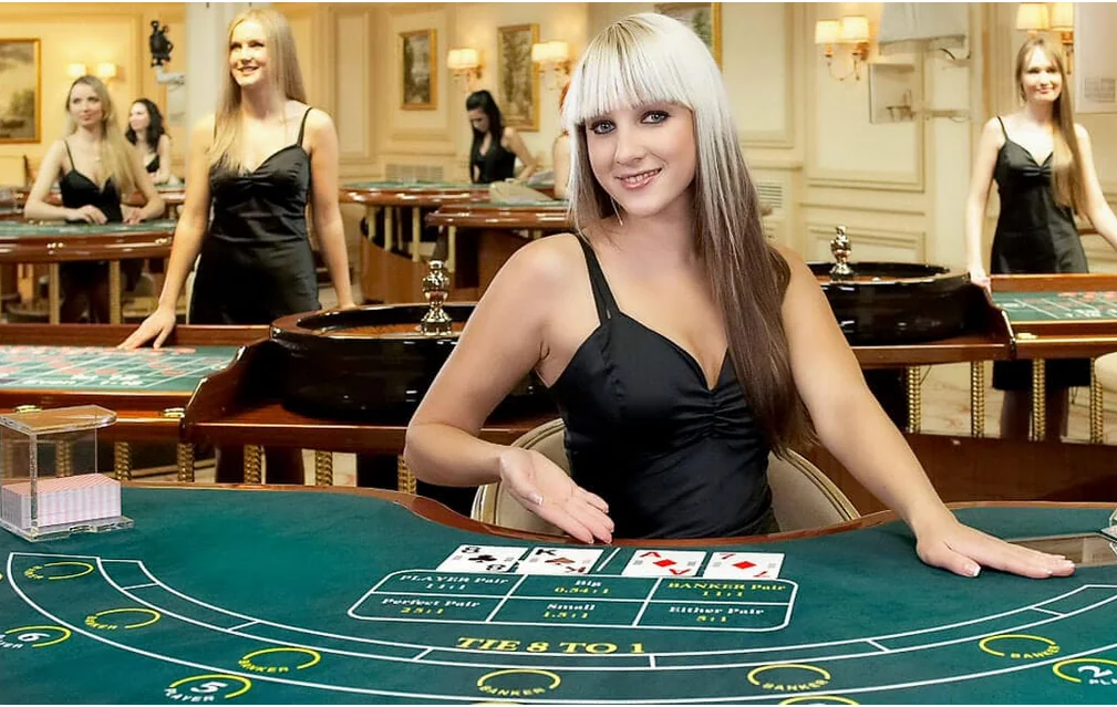 Dealer memandu permainan pada meja kasino live